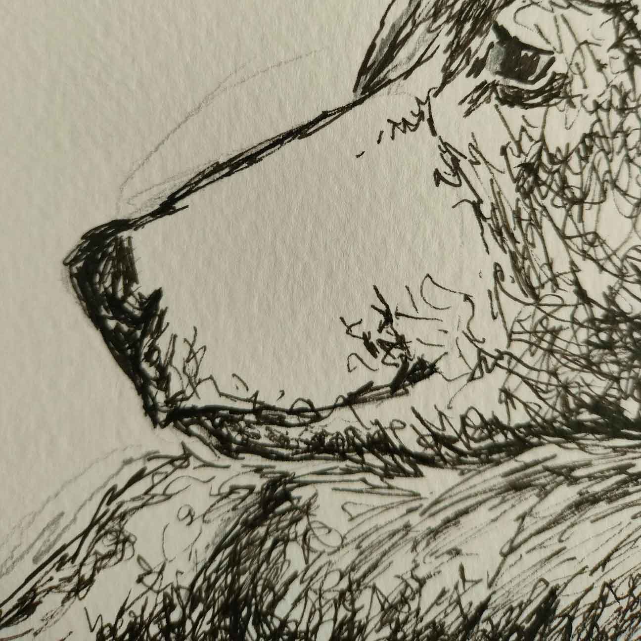 Gentle Giant - Original Pen Drawing