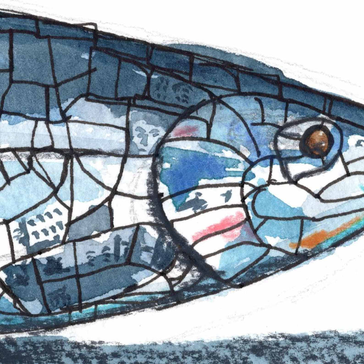 Big Fish Belfast