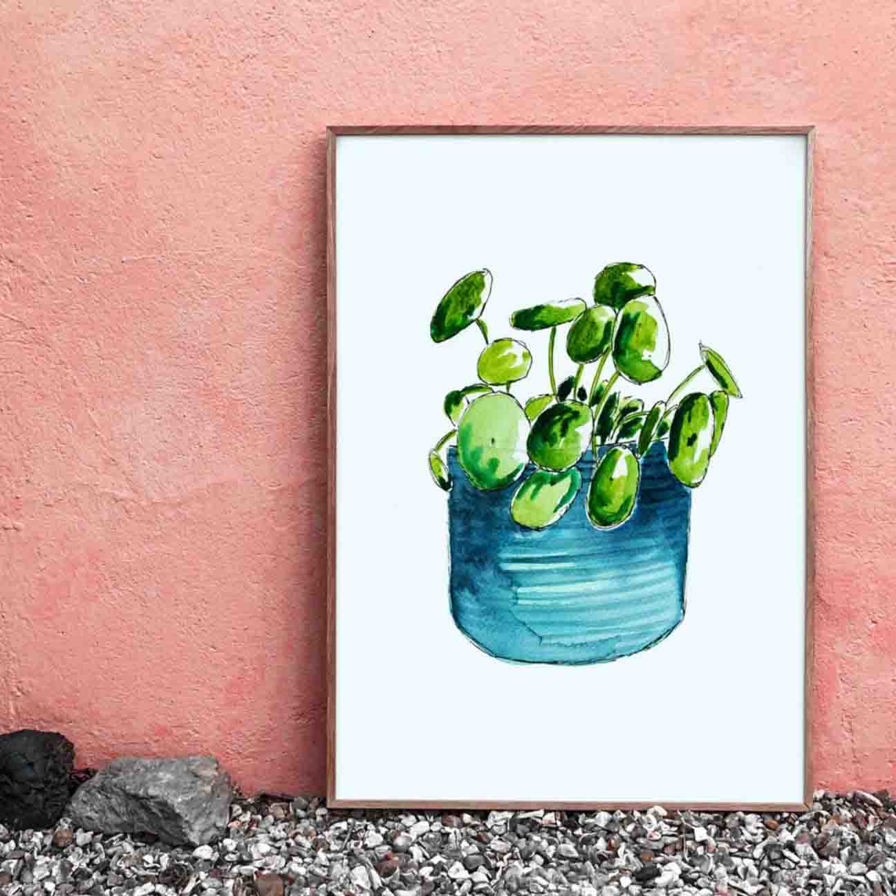 Chinese Money Plant Print