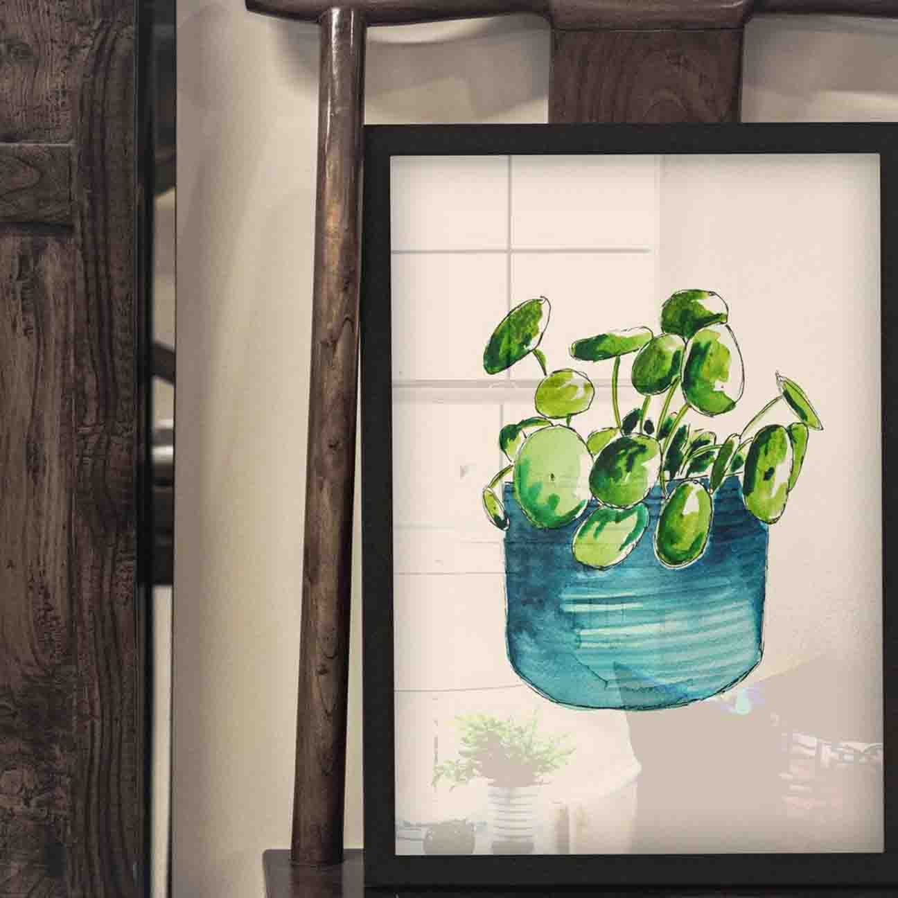 Chinese Money Plant Print