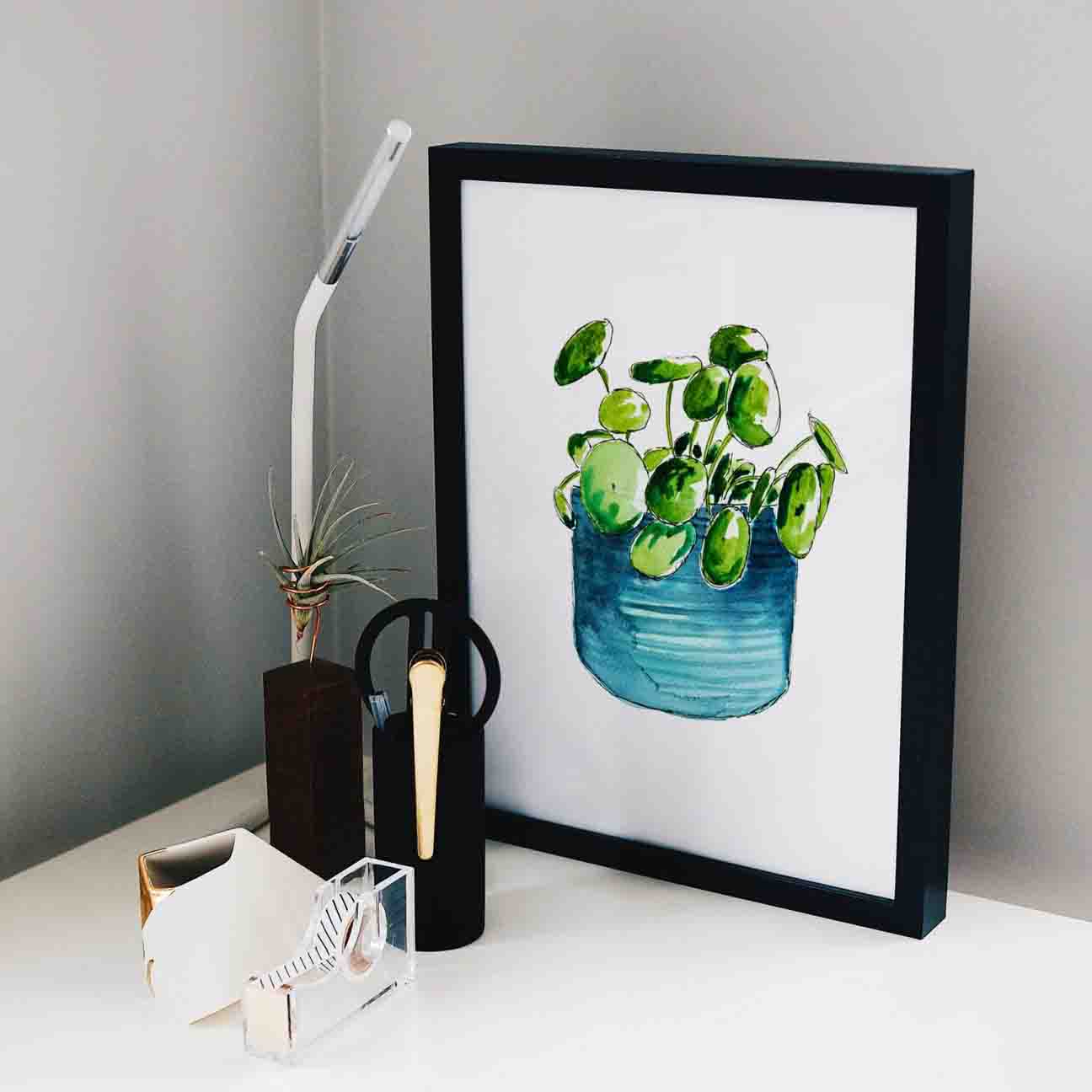 Chinese Money Plant Print