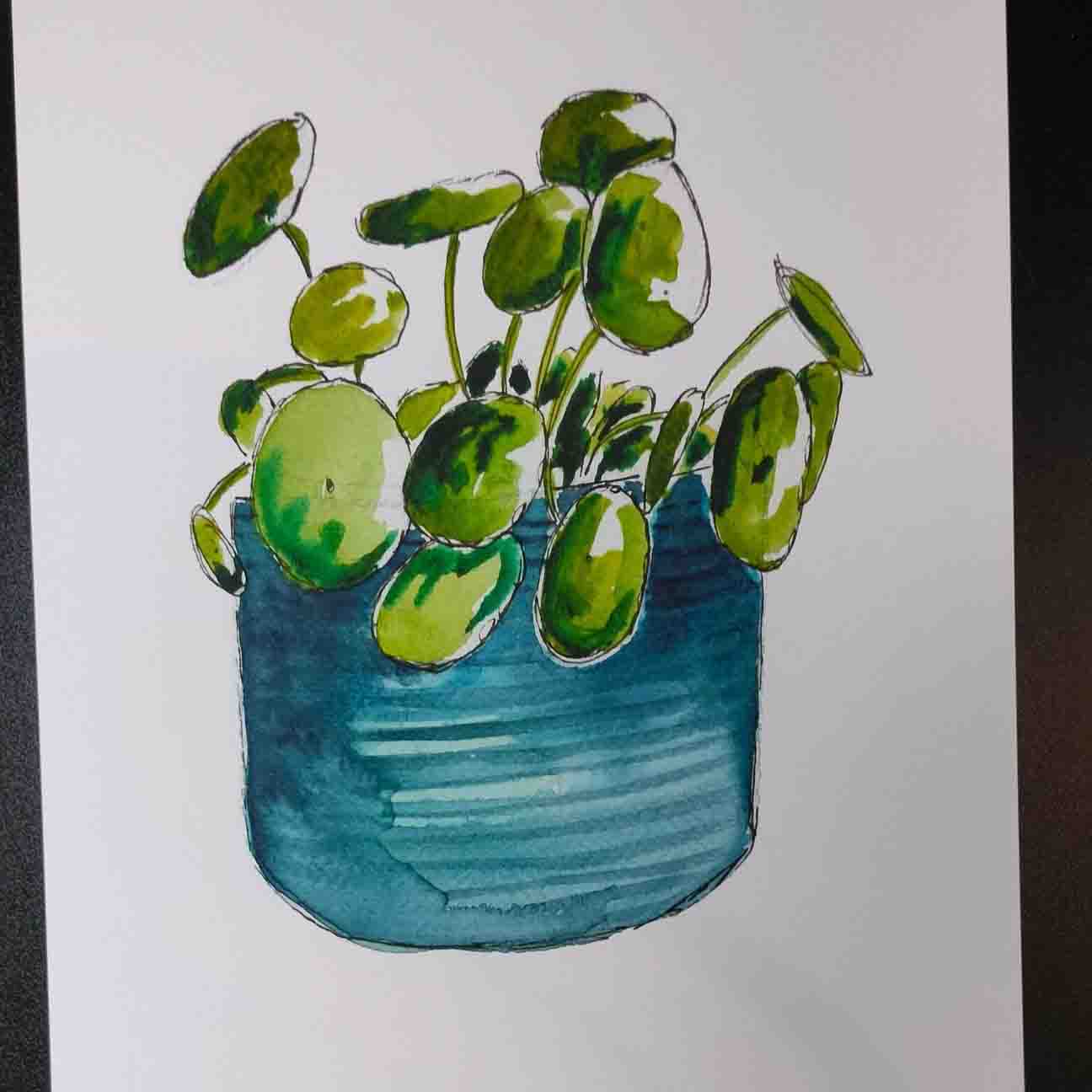 Chinese Money Plant Print