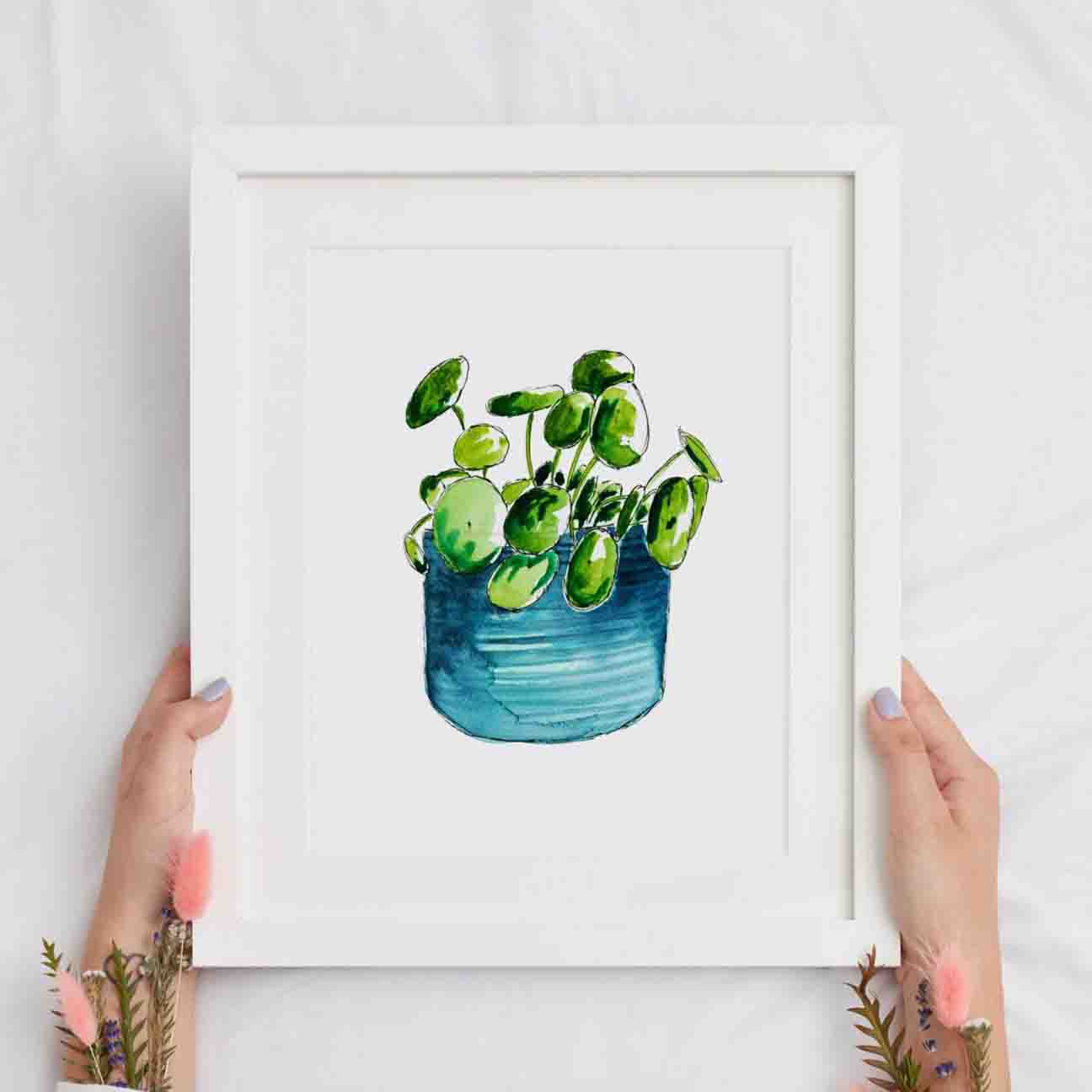 Chinese Money Plant Print