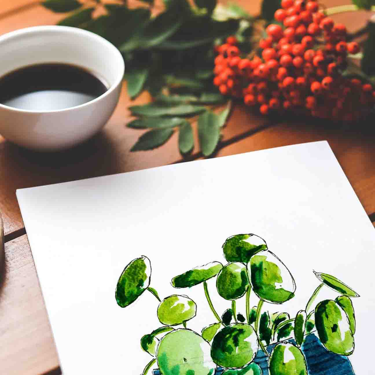 Chinese Money Plant Print