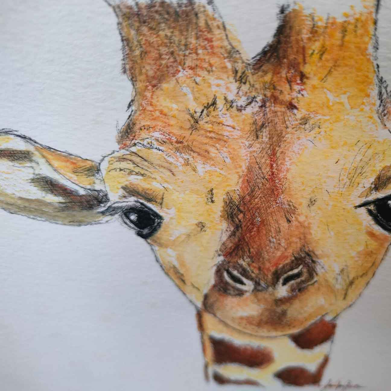 Giraffe drawing - Original