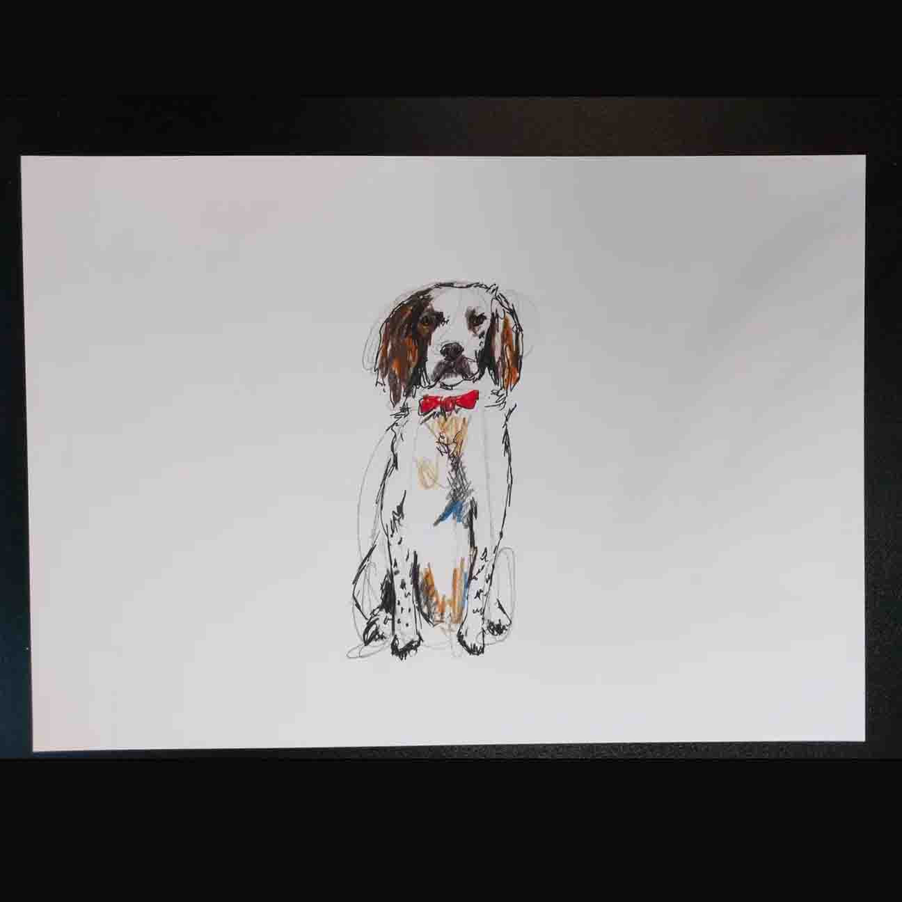 Springer Spaniel Art Print