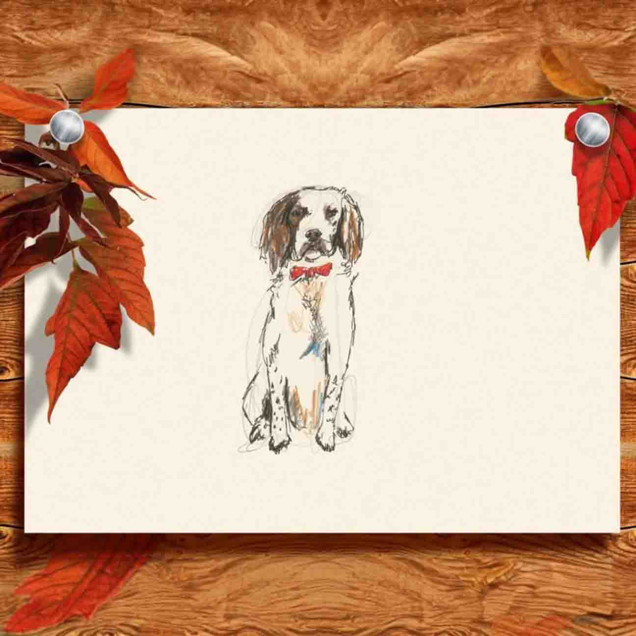 Springer Spaniel Art Print