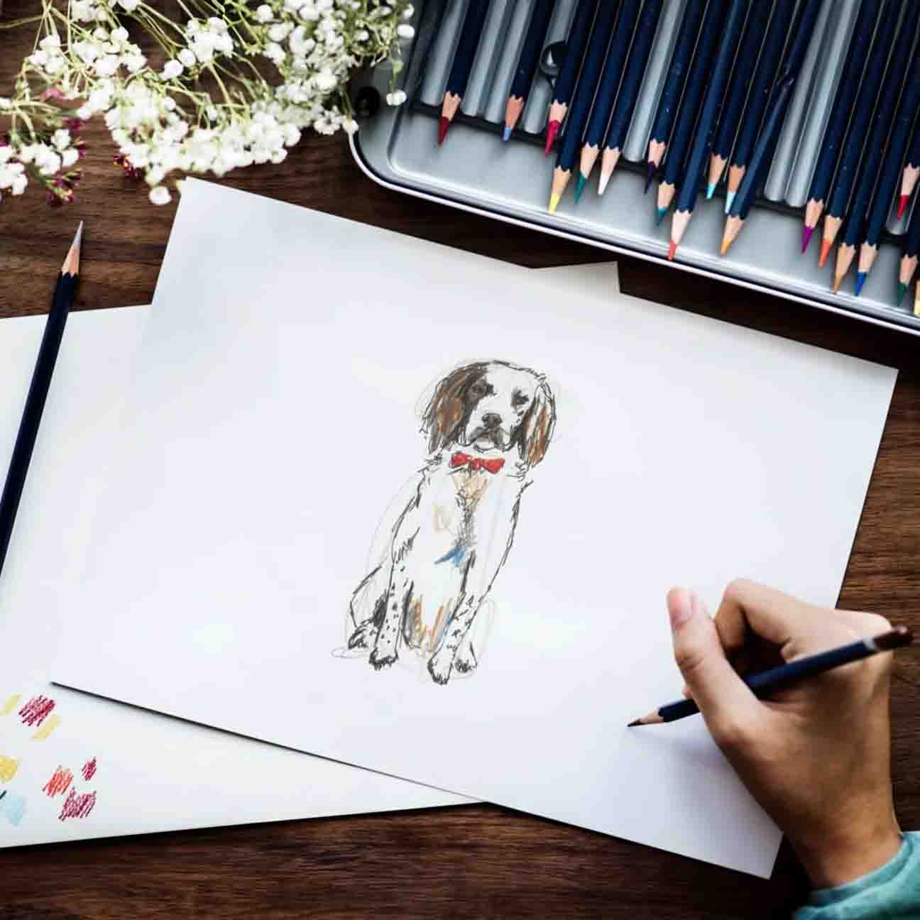 Springer Spaniel Art Print