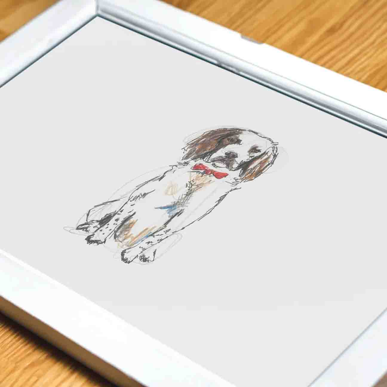 Springer Spaniel Art Print