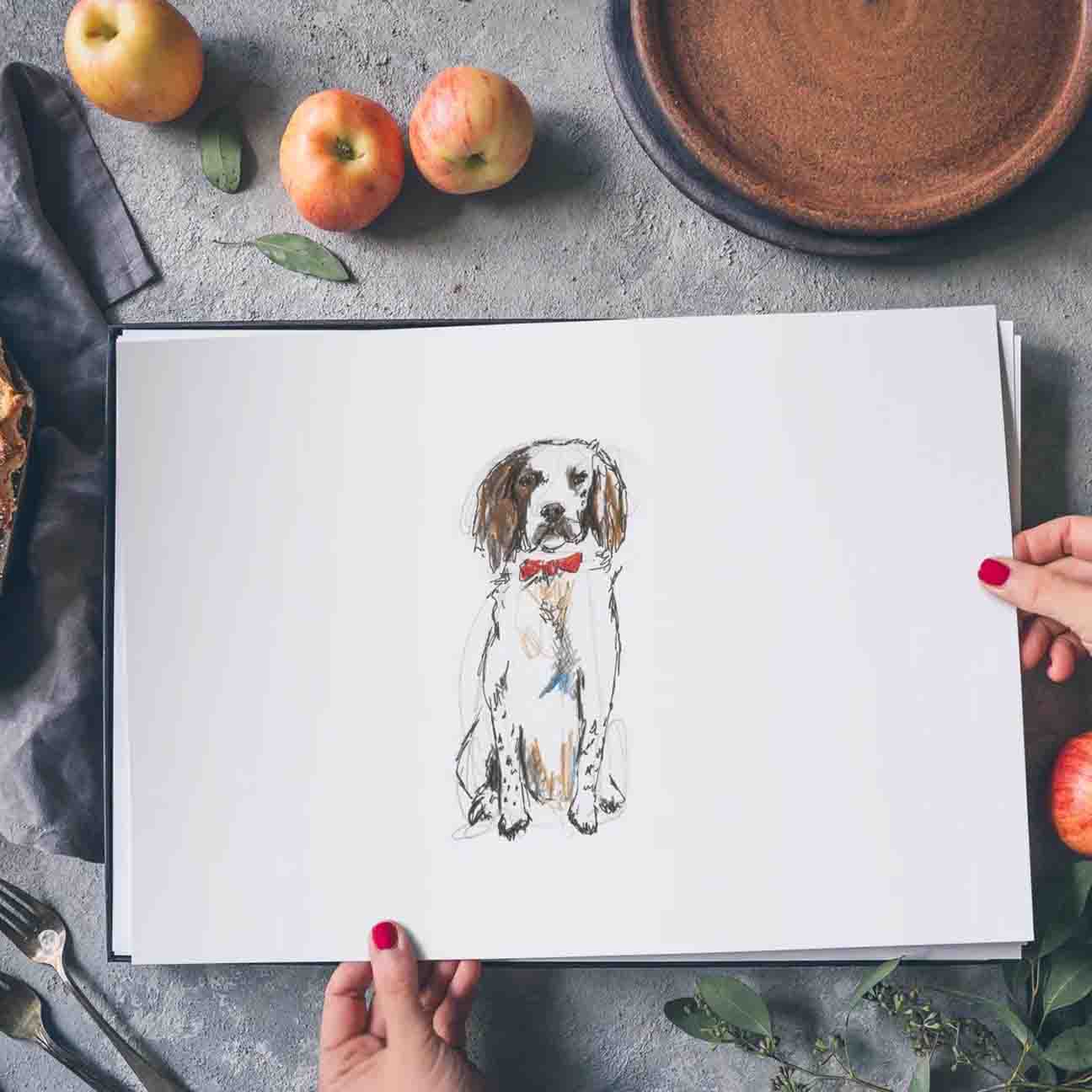 Springer Spaniel Art Print