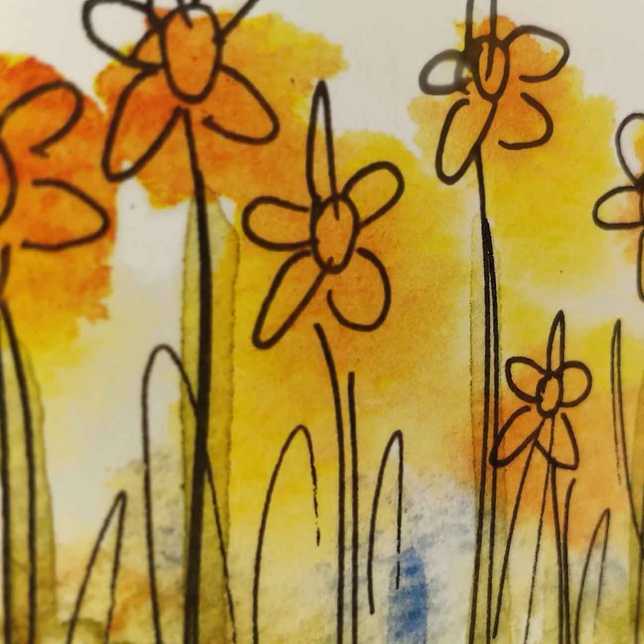 Daffodils