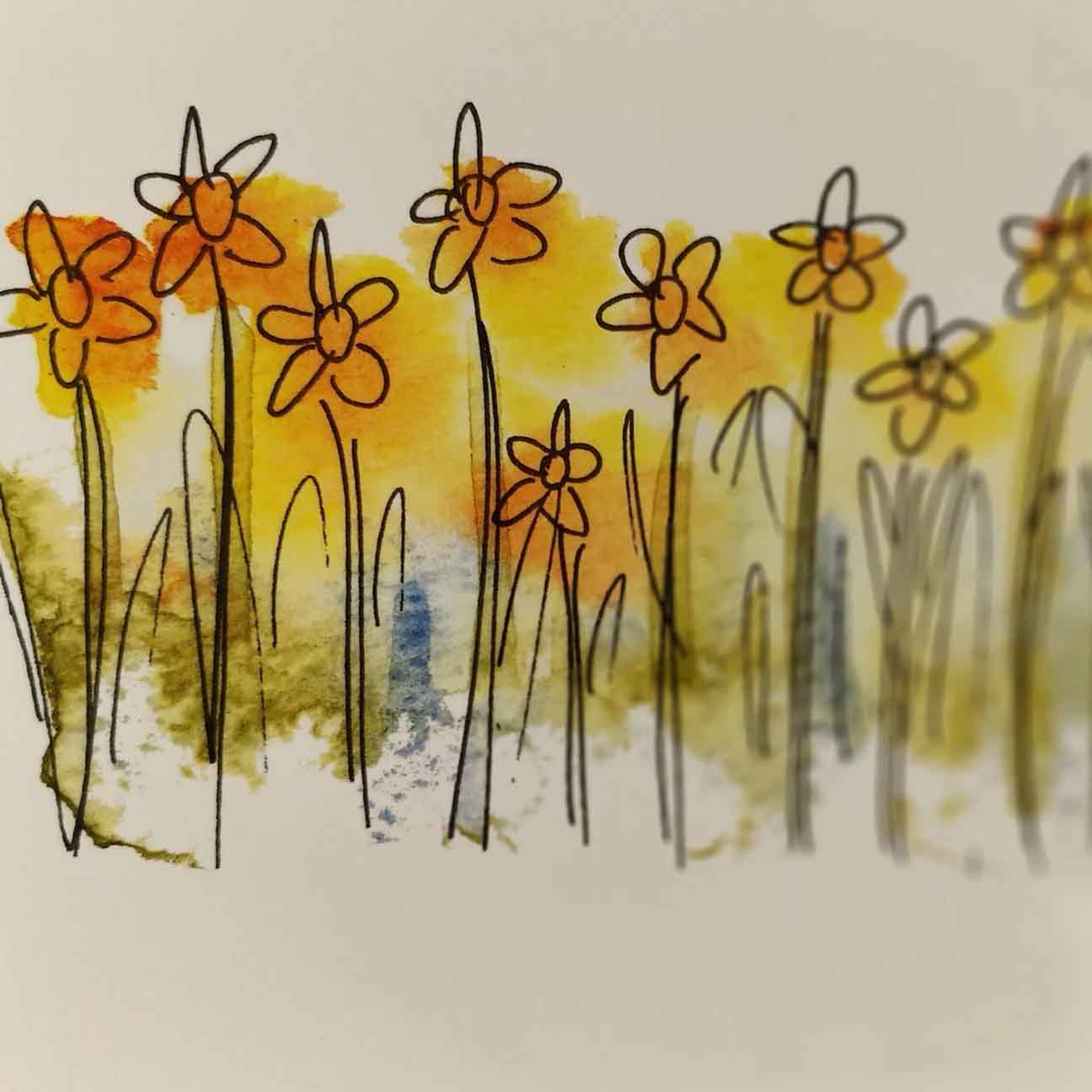 Daffodils