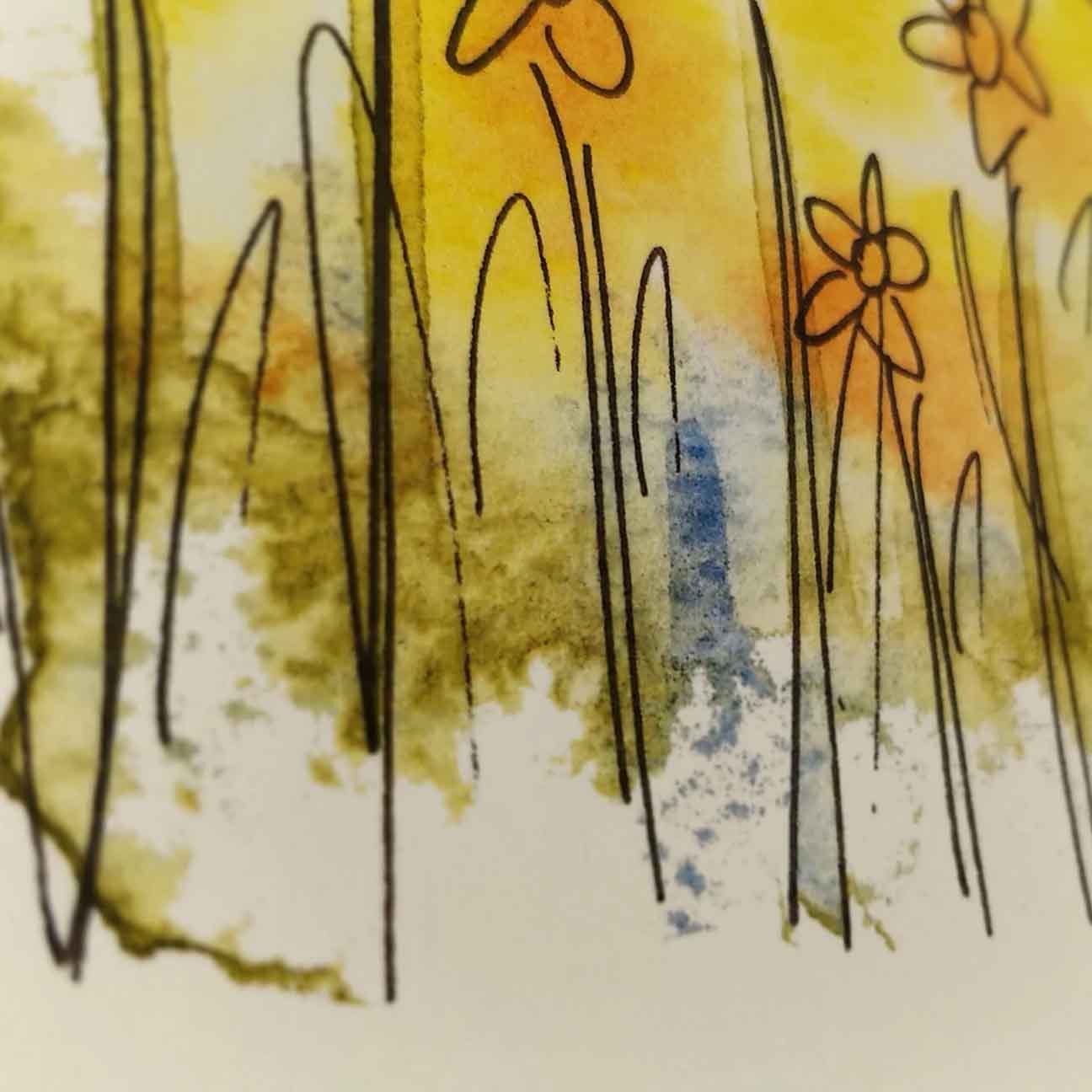 Daffodils