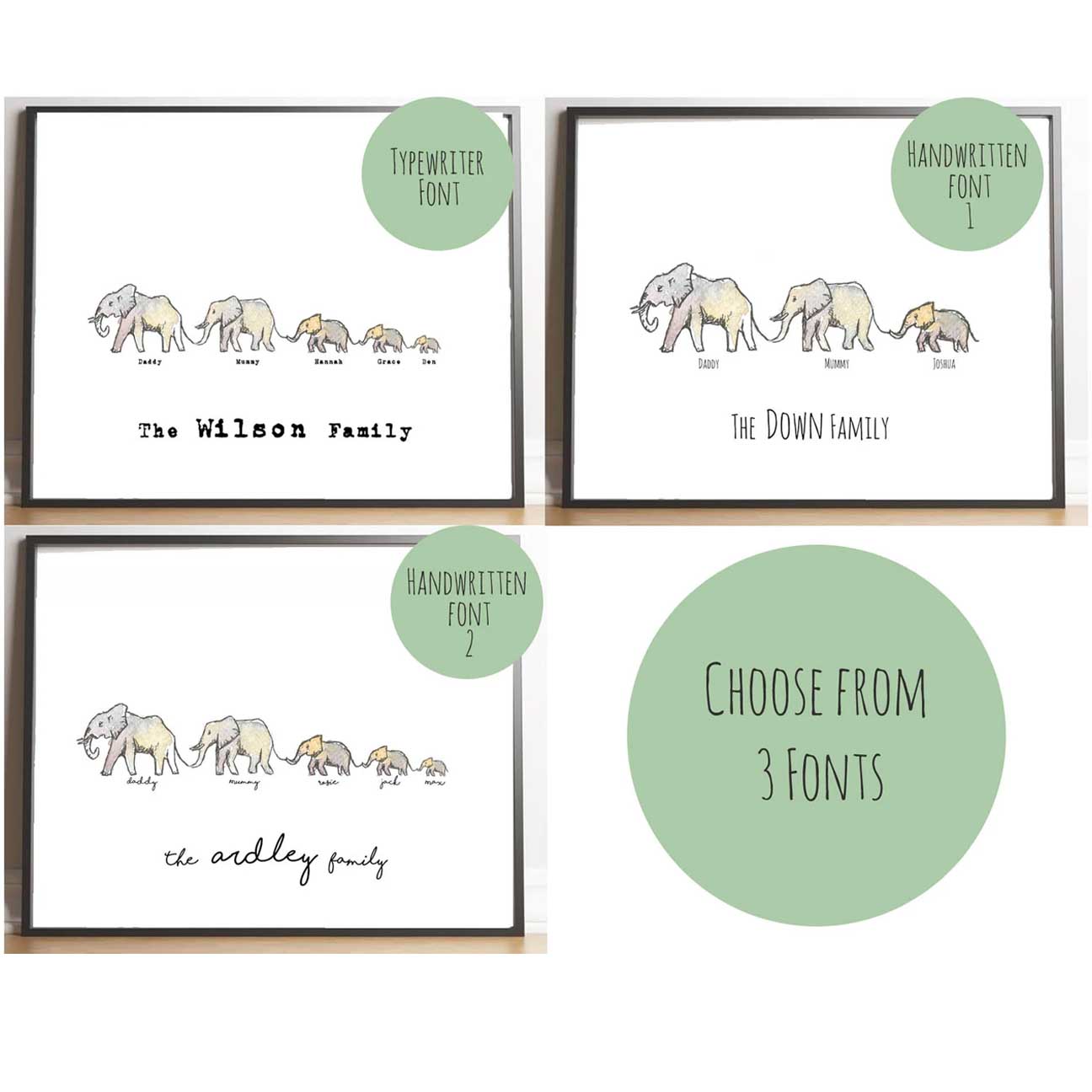 Elephant Family