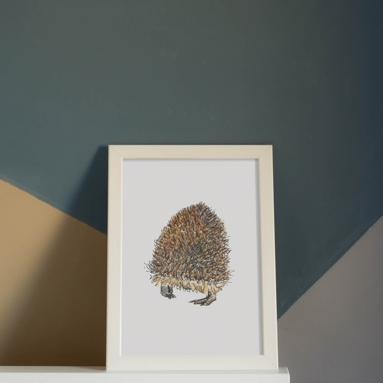 Hedgehog butt
