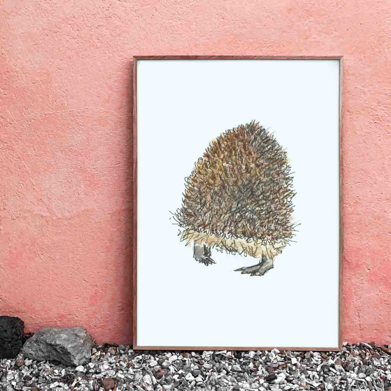 Hedgehog butt