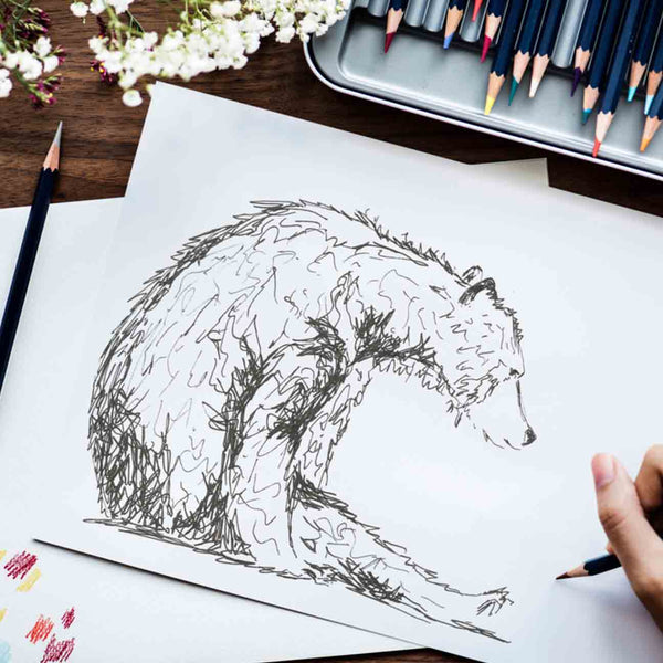 Scruffy Bear in Pen