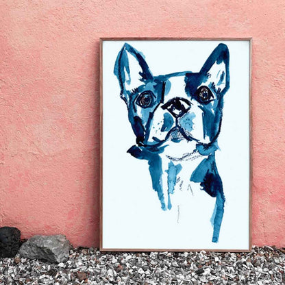Boston Terrier Portrait - Print