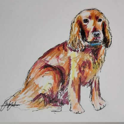 Pet Portrait - hand drawn