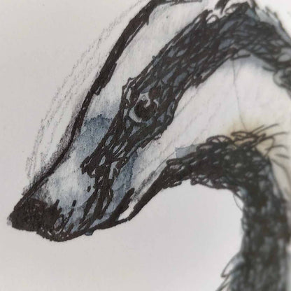 Badger