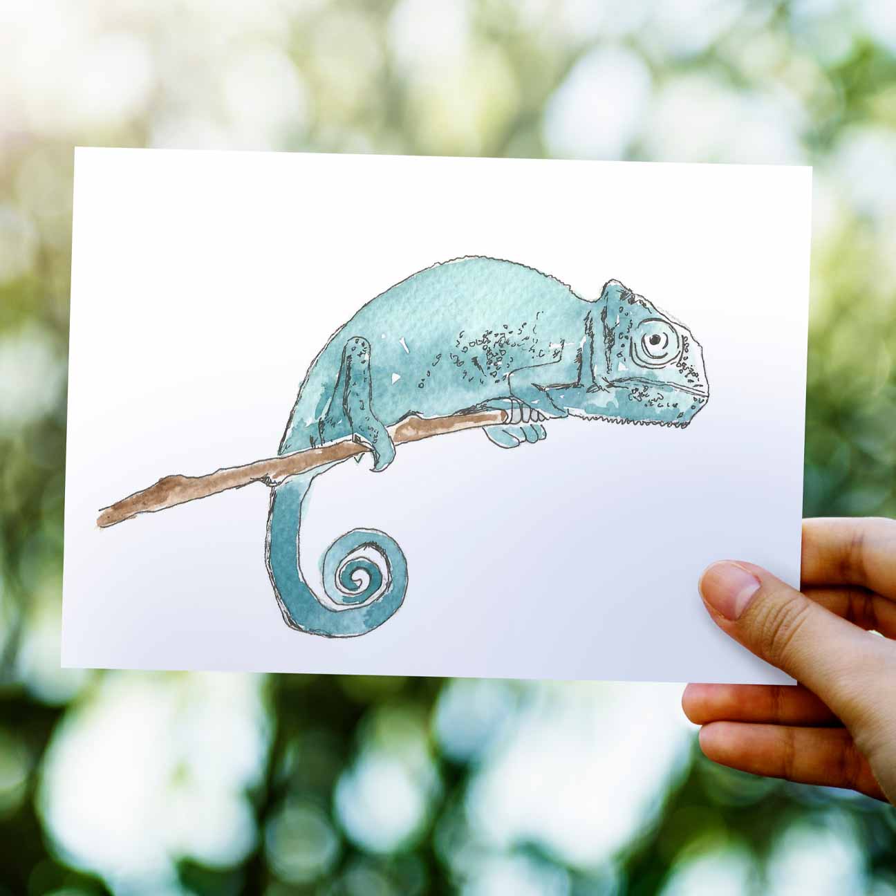 Chameleon