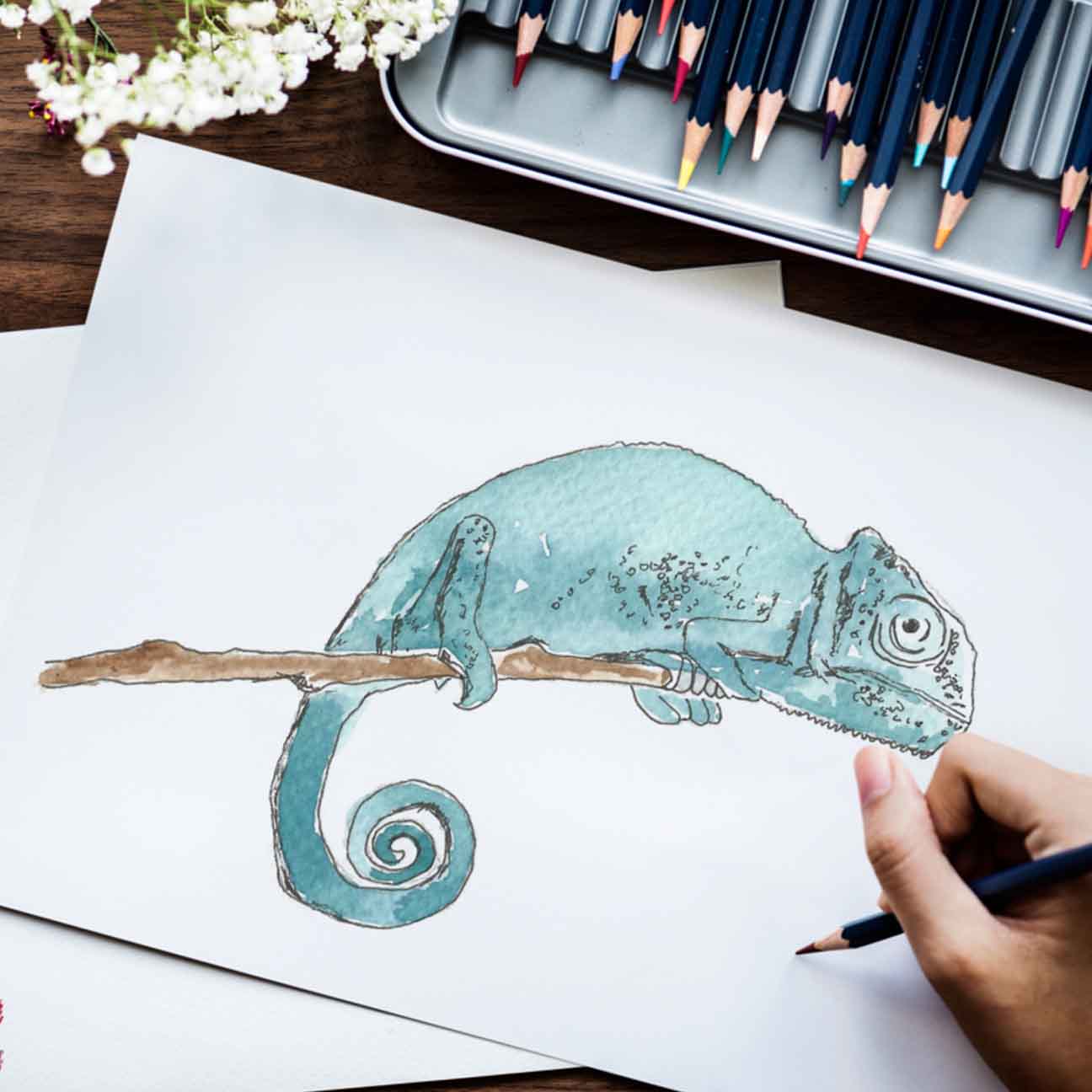 Chameleon