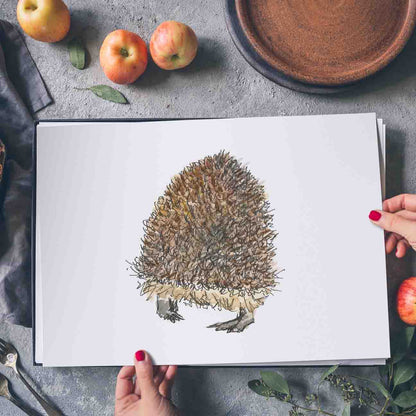 Hedgehog butt