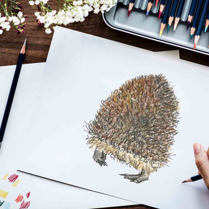 Hedgehog butt