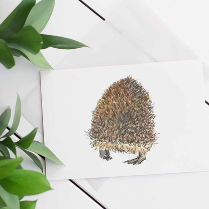 Hedgehog butt