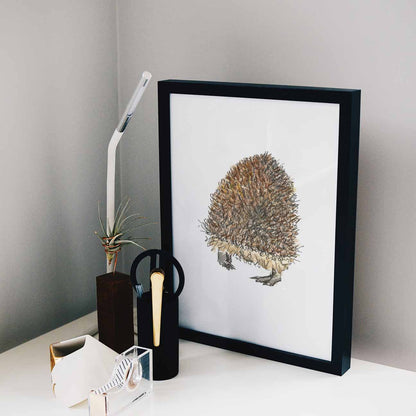 Hedgehog butt