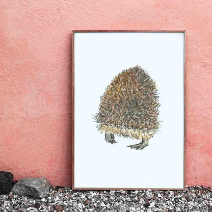 Hedgehog butt