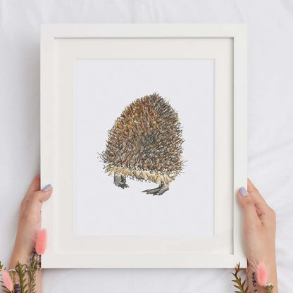 Hedgehog butt