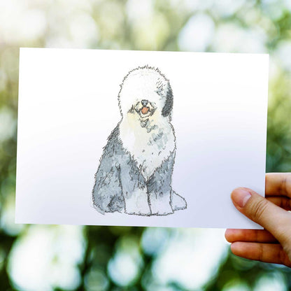 Old English Sheepdog