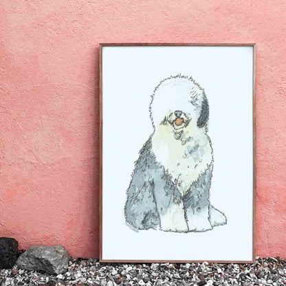 Old English Sheepdog