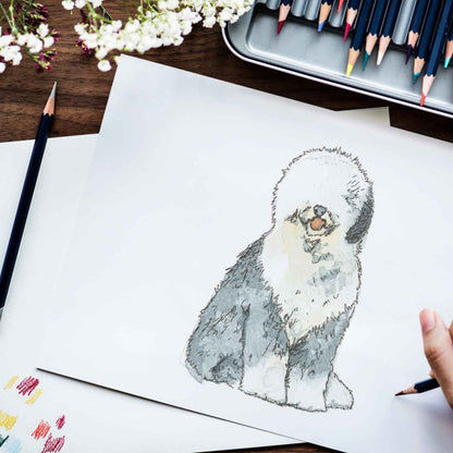 Old English Sheepdog