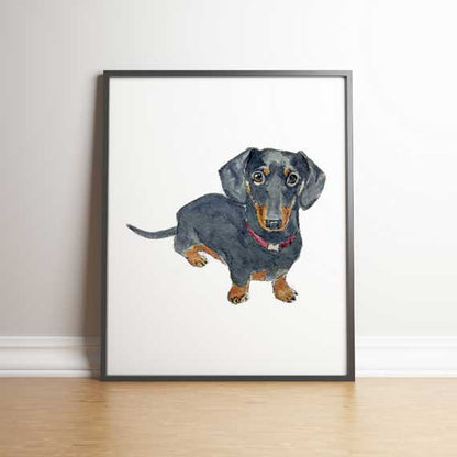 Pet Portrait - hand drawn